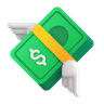 💸